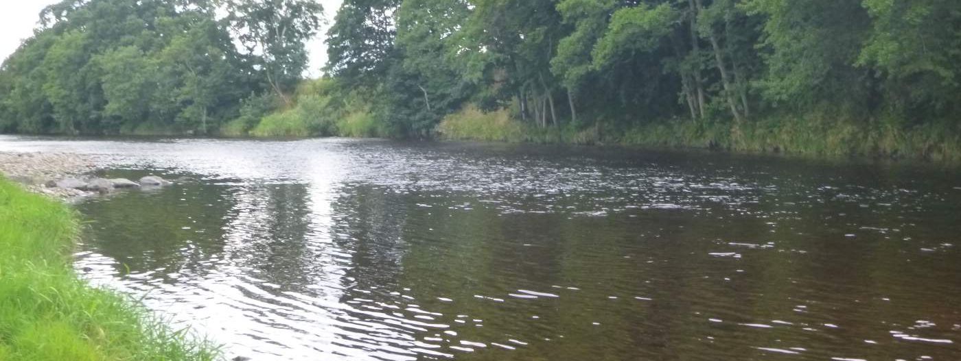 Summer Salmon Tactics - Mid Antrim Angling Centre